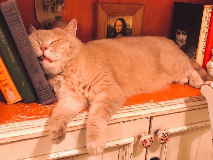 фото со страницы ресторана МариVanna в сети фейсбук