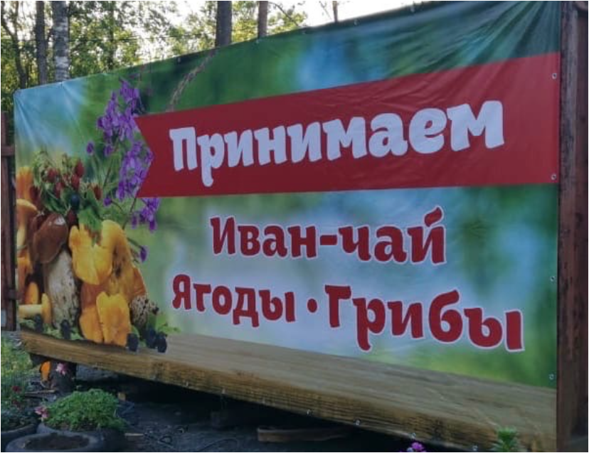 Из местной группы ВК: https://vk.com/podsuo