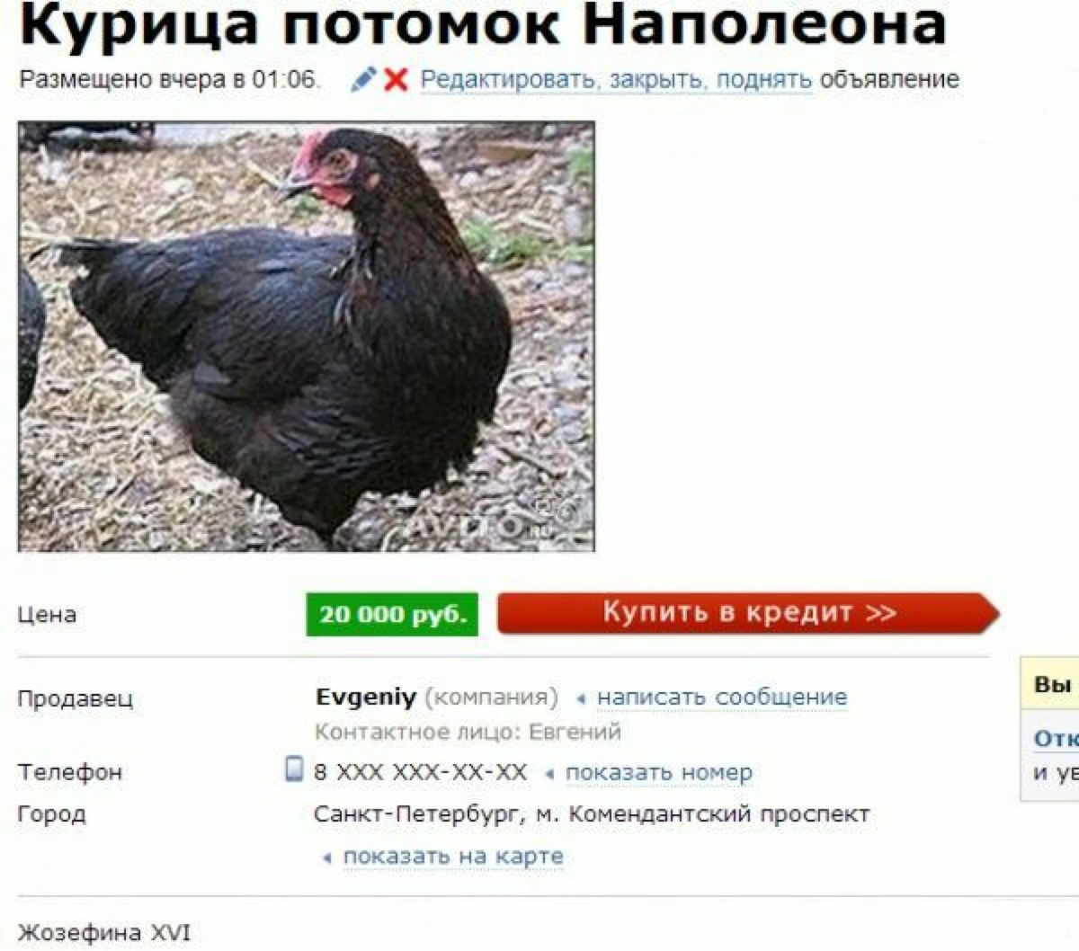 Смешные картинки на авито