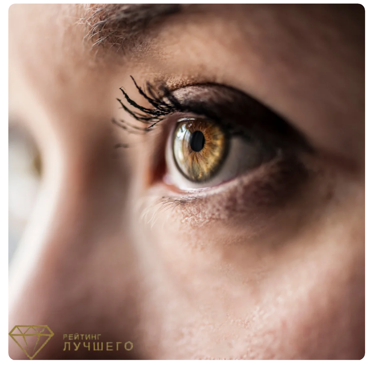 Выбираем тушь для ресниц