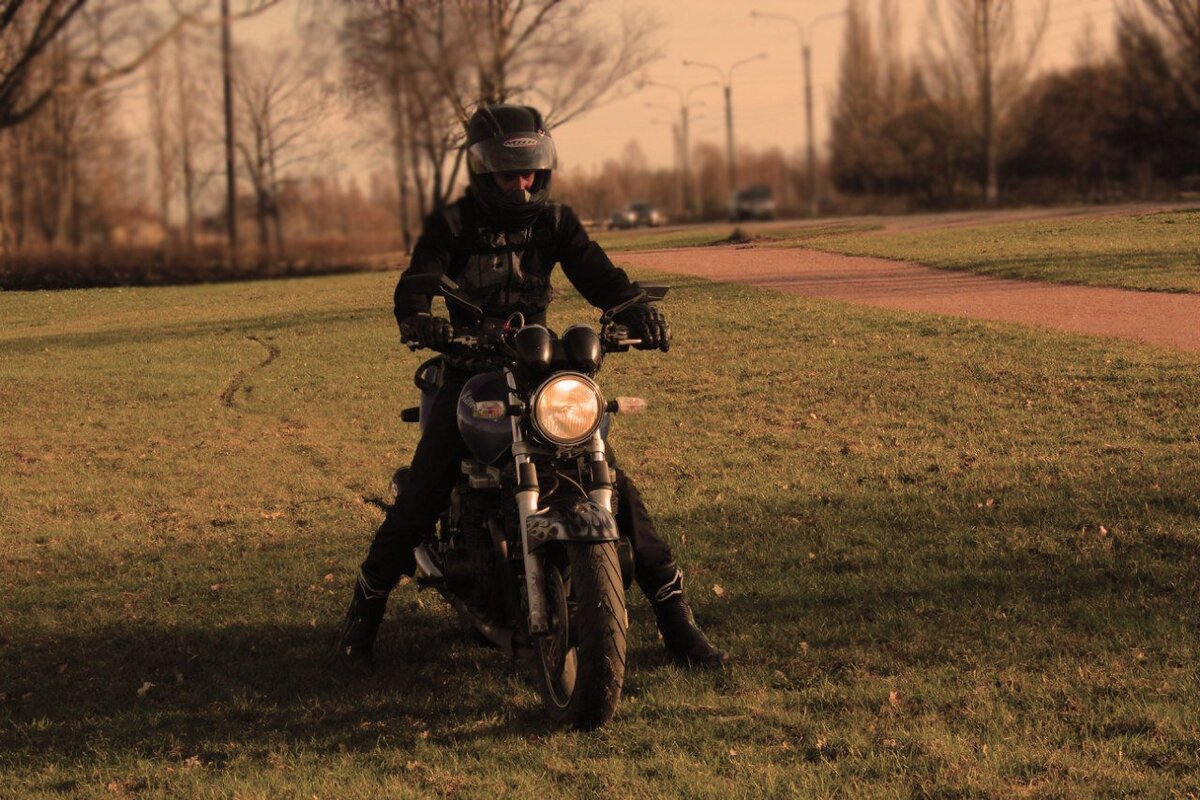 Яндекс картинки