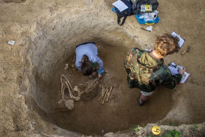 Раскопки Опушкинского некрополя. Источник: vk.com/openarcheologi