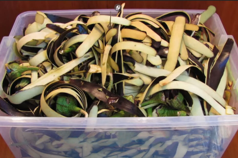 Баклажаны, нарезанные соломкой высохнут очень быстро