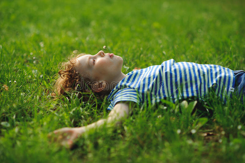 Яндекс картинки