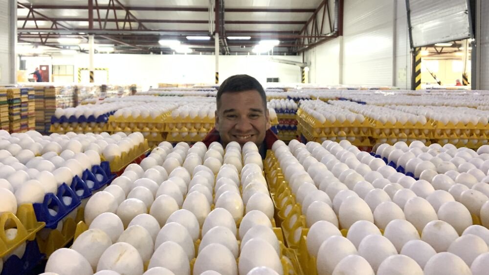 Каждое яйцо партии должно быть марикровано