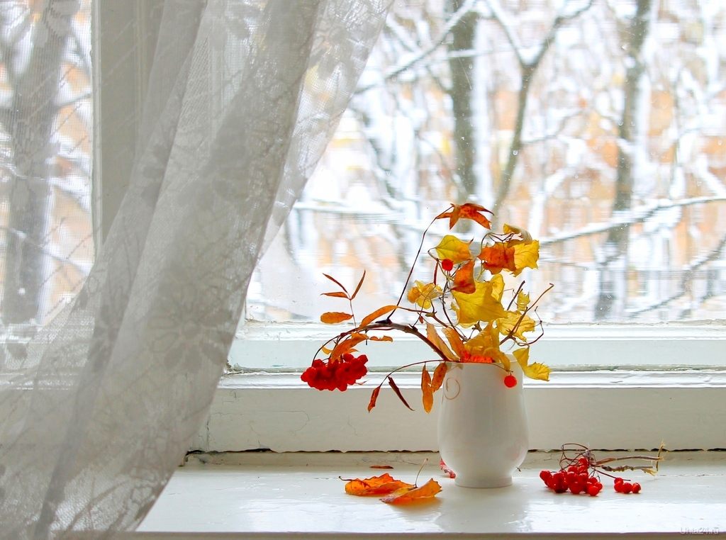 Добро утро картинки ноябрь. Снег за окном. Первый снег за окном. Зимний подоконник. Поздняя осень окно.