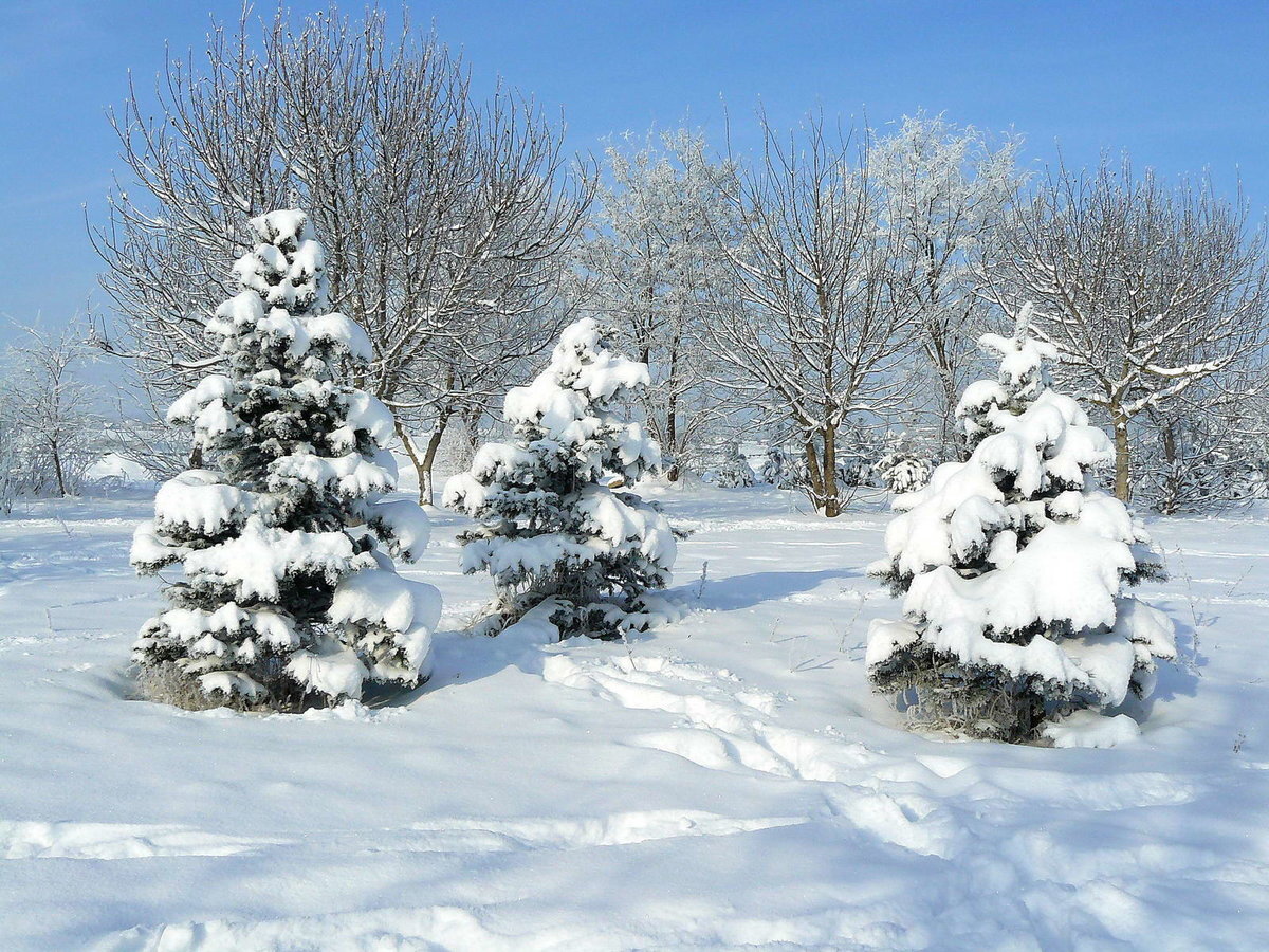 Январь – Просинец - Перезимье.