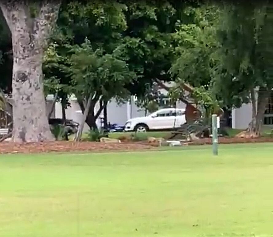 Австралия - очень зелёная страна. Фото автора