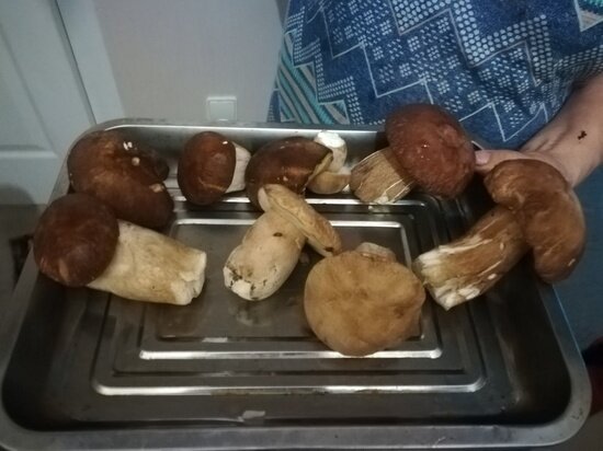     Фото предоставлены героиней публикации