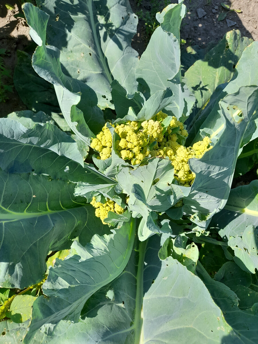 Фото из личного архива 