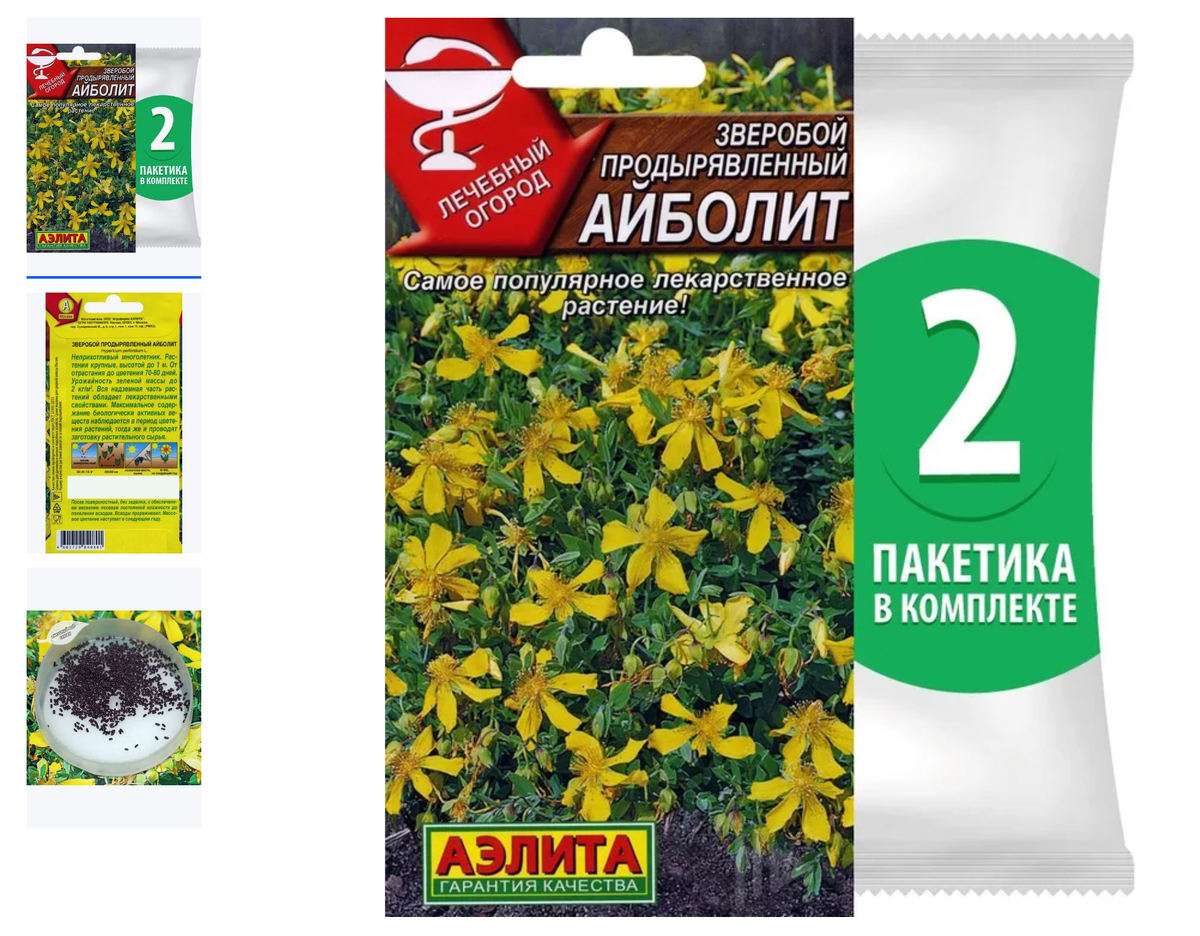 Семена зверобоя. Зверобой. Семена зверобой продырявленный. Зверобой с семенами. Зверобой с семенами.