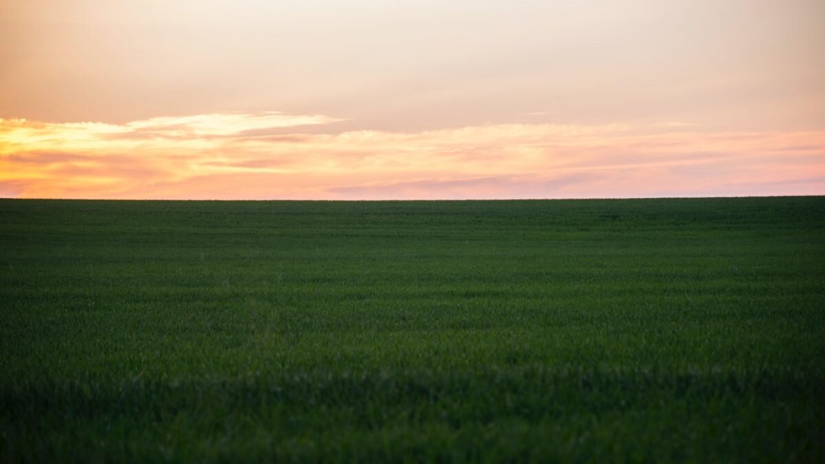    Иллюстративное фото / Pär Pärsson / Unsplash Август Макаров