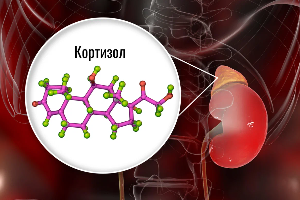 Стресс и гормоны надпочечников. Кортизол. Кортизол гормон стресса. Кортизол картинки. Молекулы гормонов.