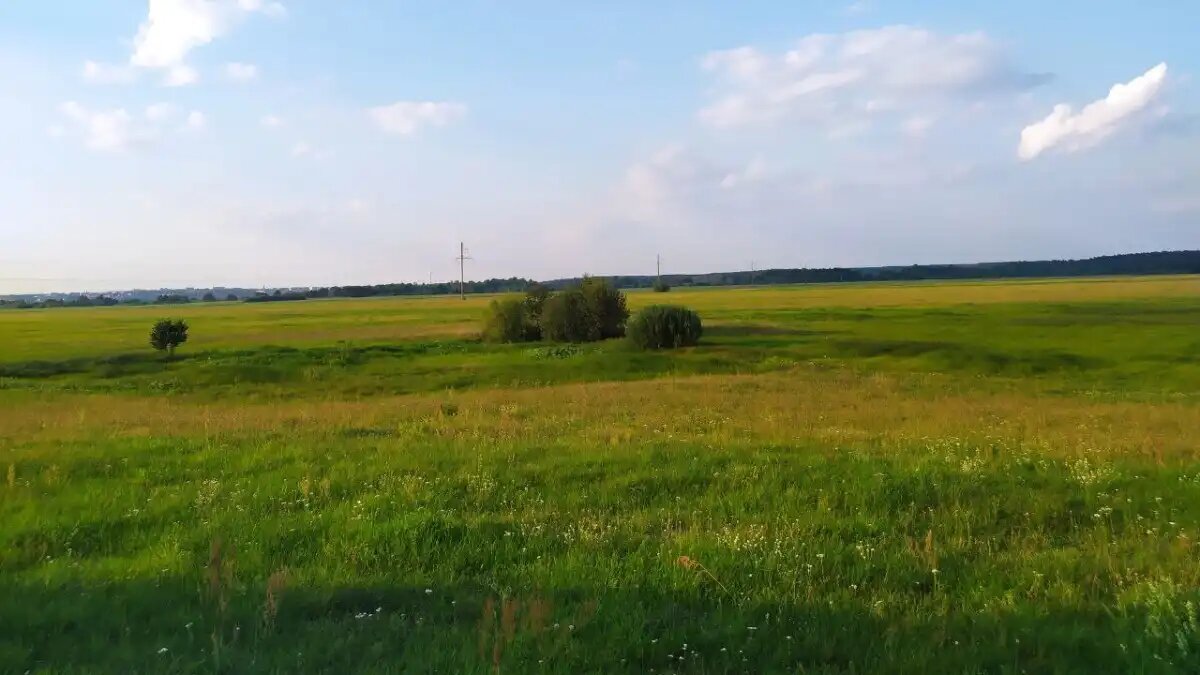 glavagronom.ru Фото:glavagronom.ru