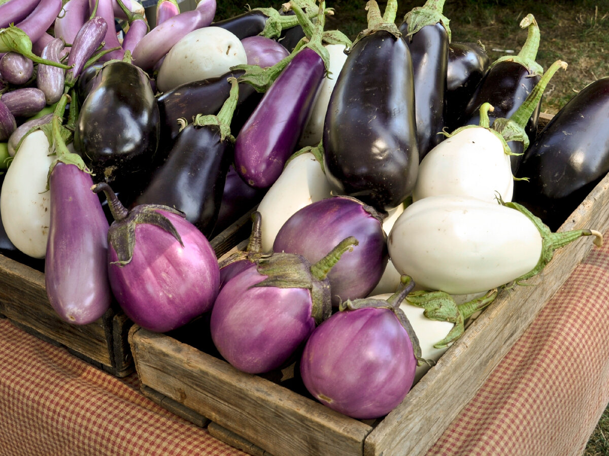 Фото: live.staticflickr.com