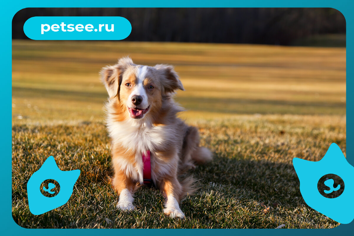 Изображение со свободной лицензией