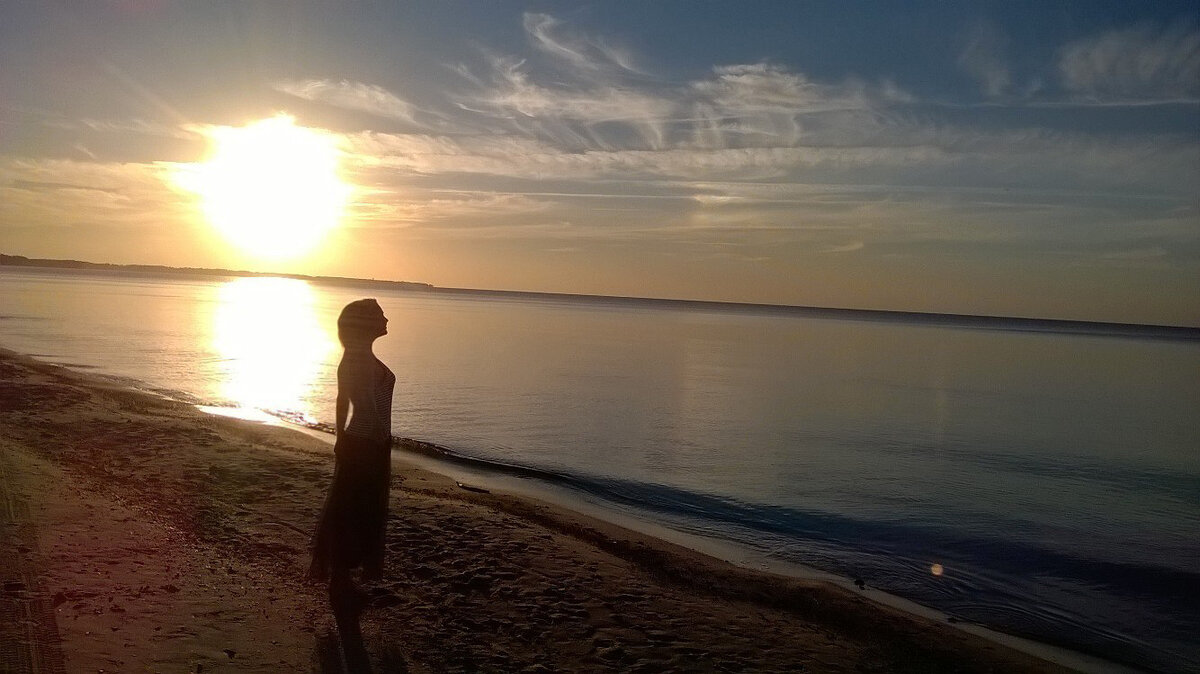 Или безумное лето....