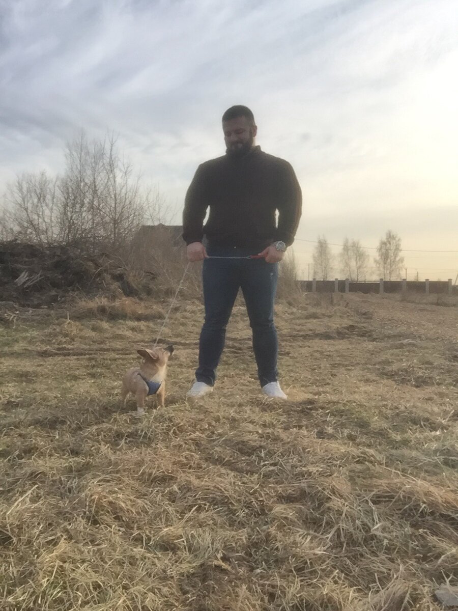 Живой "волкодав" 