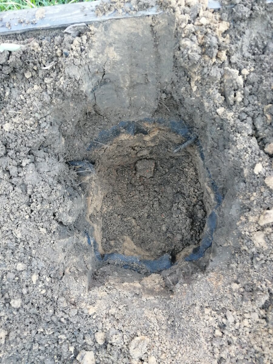 яма для розы, фото автора