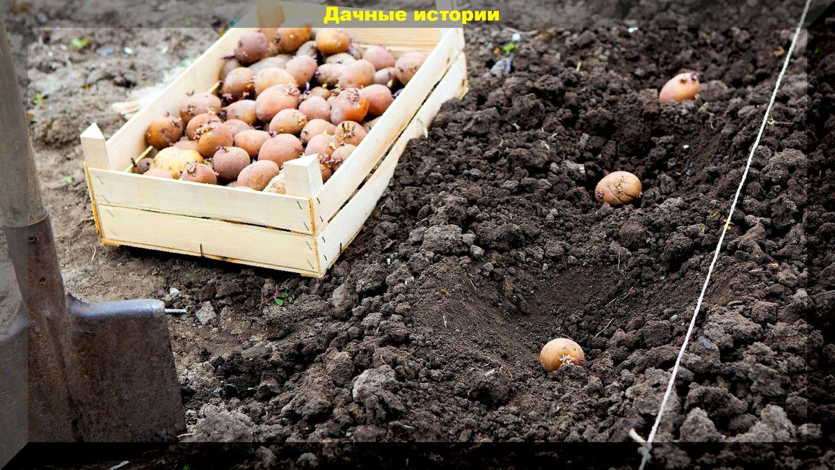https://vk.com/photo-159774511_457243707