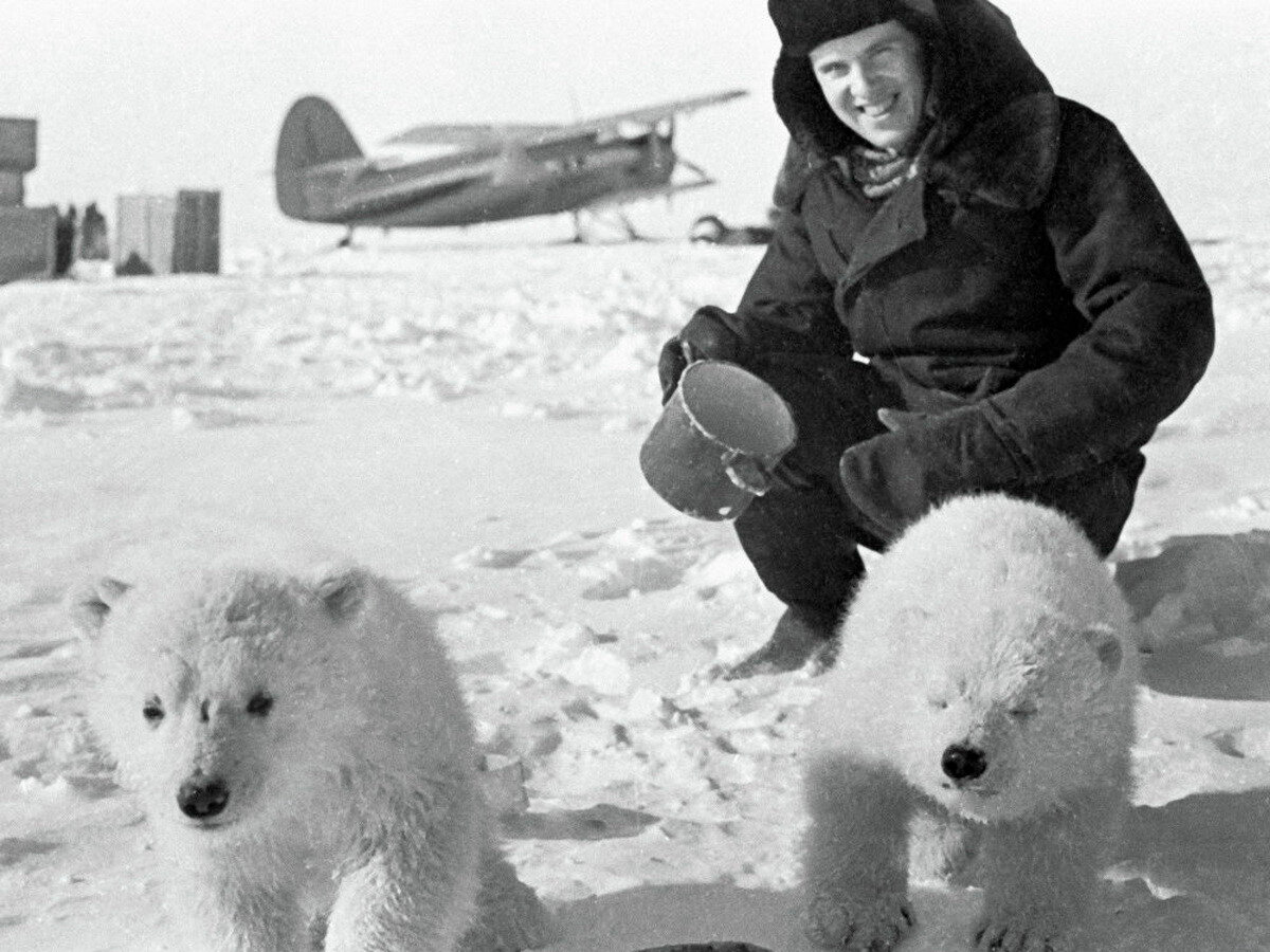 Амундсен Северный полюс медведь