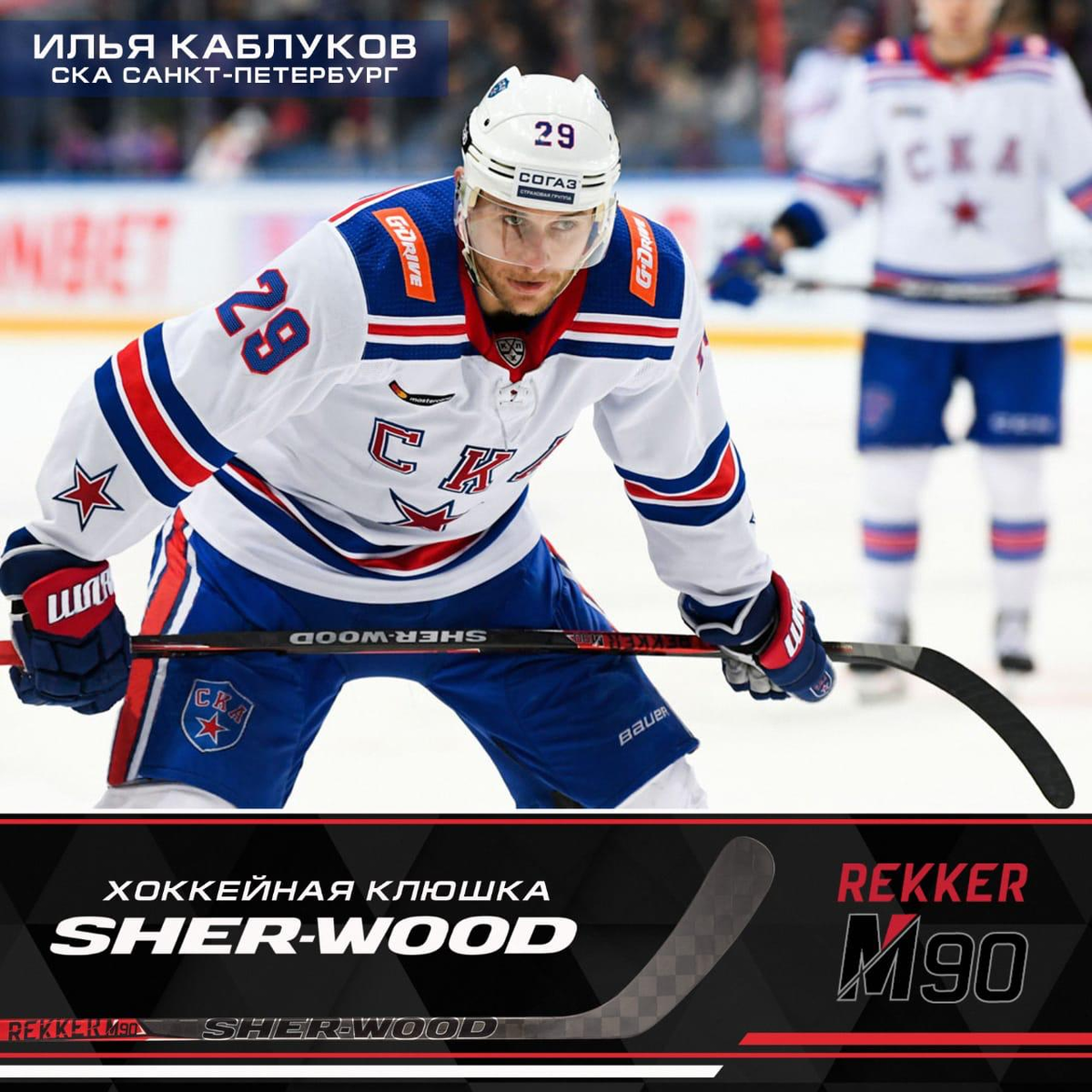 SHERWOOD пытается возвратиться на хоккейный рынок