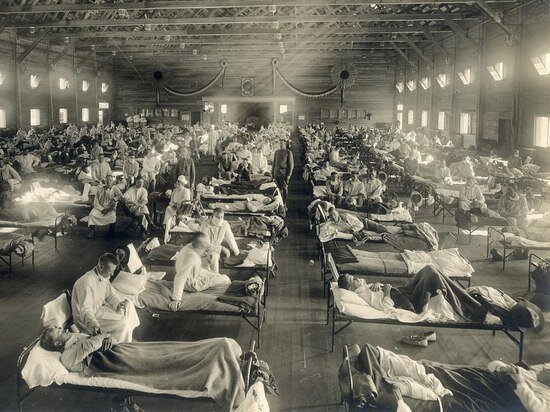 Фото - wikimedia.org