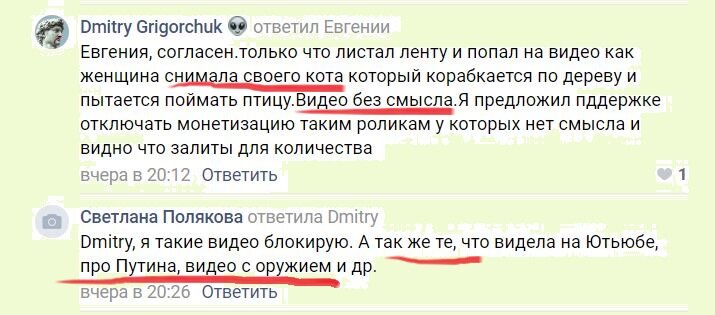 Кот Семен залез на высокое дерево и пытался поймать птичку. А потом почти прославился в Интернете