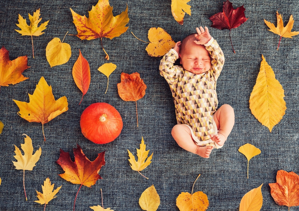 Осенний лист 