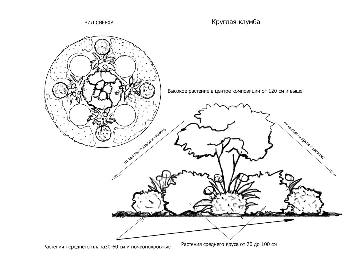 Чертеж клумбы. Посадочный чертеж цветника схема. Цветник кругового обзора. Схема размещения растений на клумбе. Виды клумб схема.