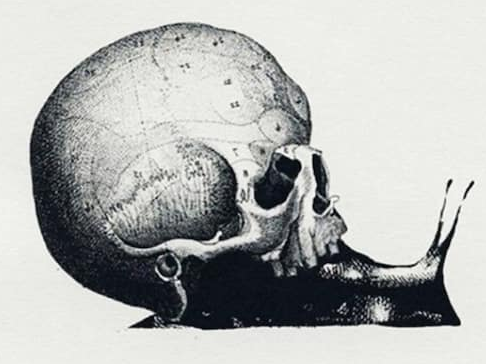 Изображение с  Яндекс.Картинки (https://yandex.ru/images/) 