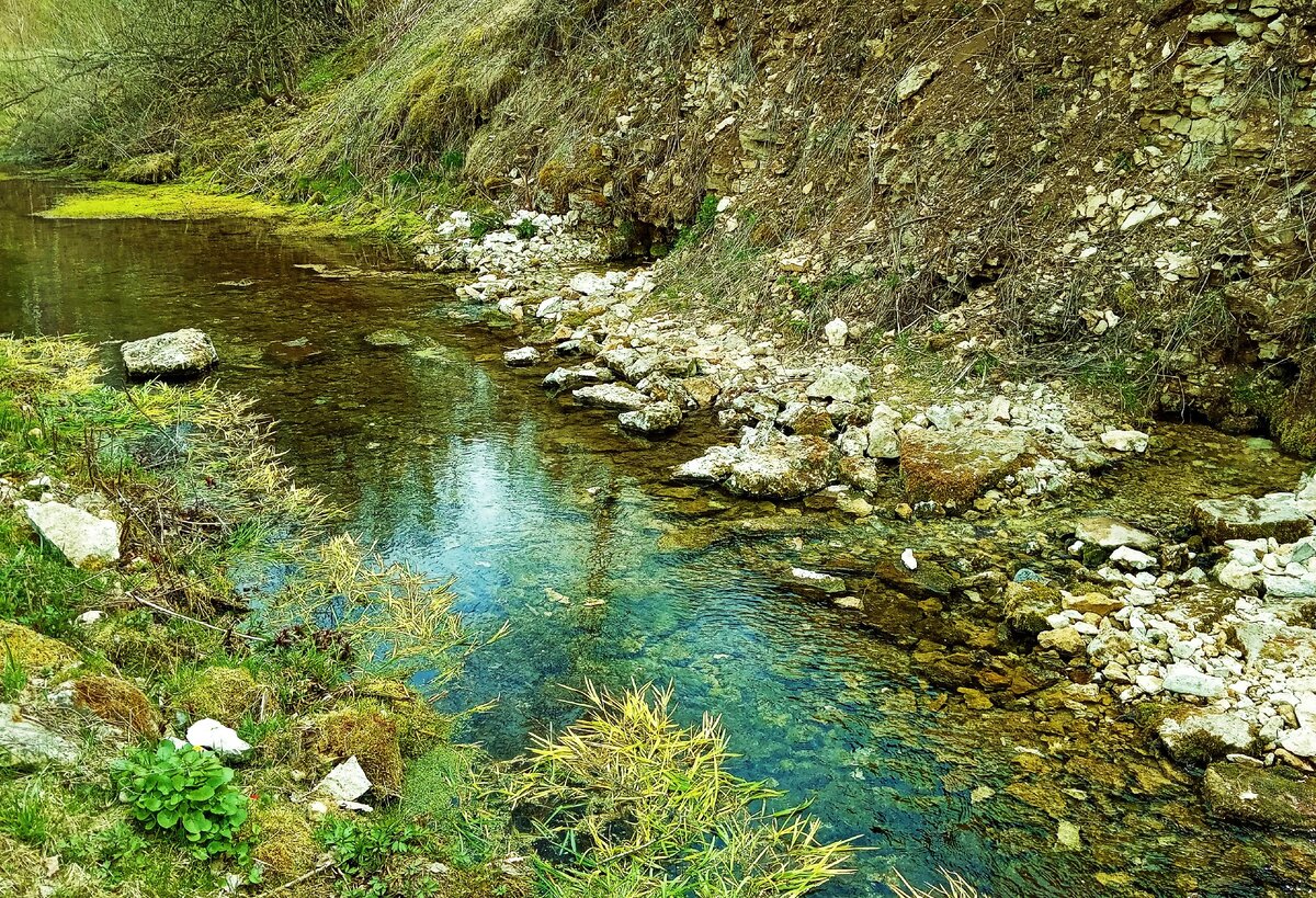 Родник горный фото