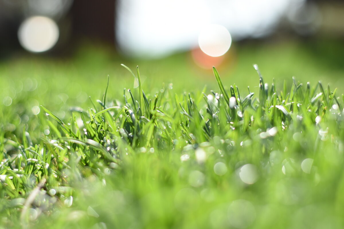 Фото автора, 11. 05.20