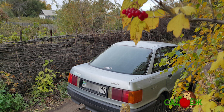 Приехали на дачу на автомобиле (фото взято из интернета для демонстрации)