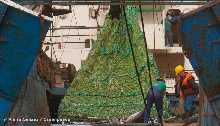 https://blog.greenpeace.de/sites/default/files/styles/gp_content_image__landscape__wide__1x/public/media/images/Blog_Atlantik_4.jpg?itok=Oebb_GA0