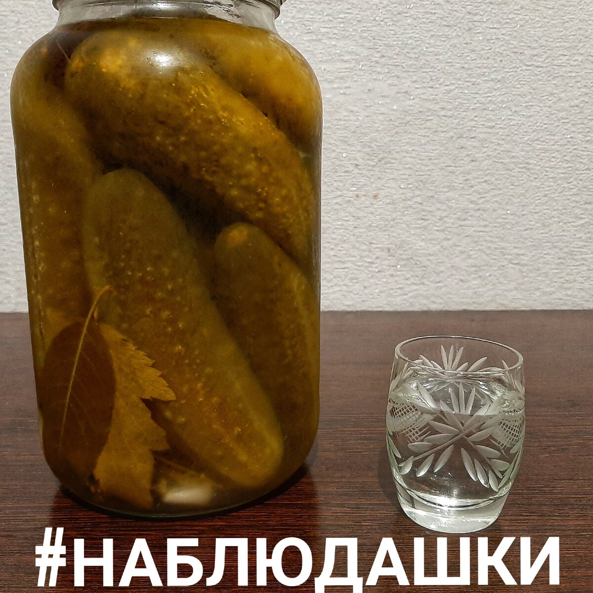 Наблюдашки. Уникальный русский продукт