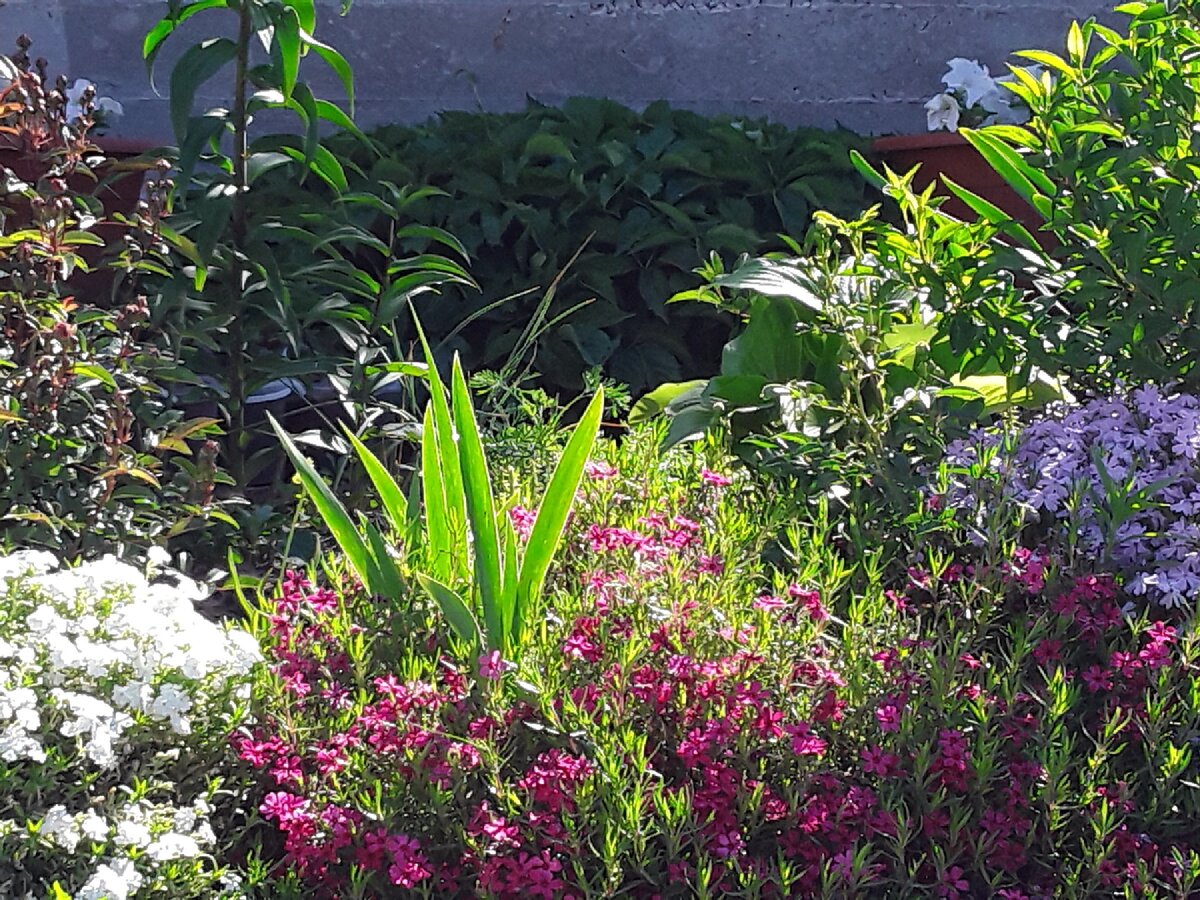 Ну, и где тут у нас септик?