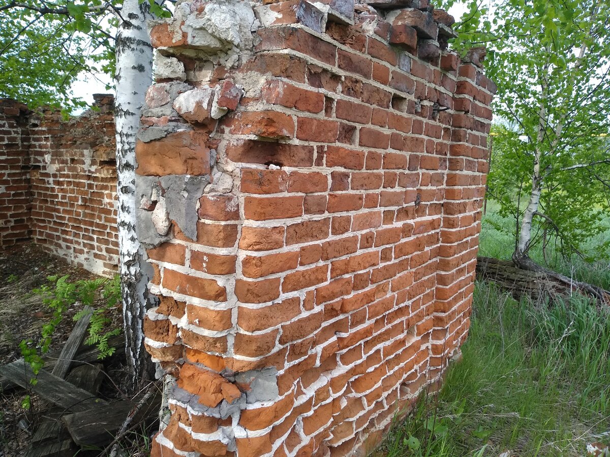 Дома из старинного кирпича в умирающей деревне. | Сергей Горбунов о  загородной жизни | Дзен