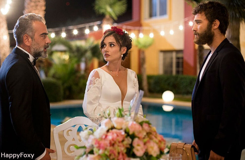 Сериал"Любимое прошлое"