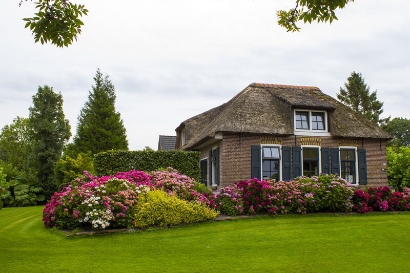 Иллюстрация для статьи используется по стандартной лицензии ©stroi-rasti.ru