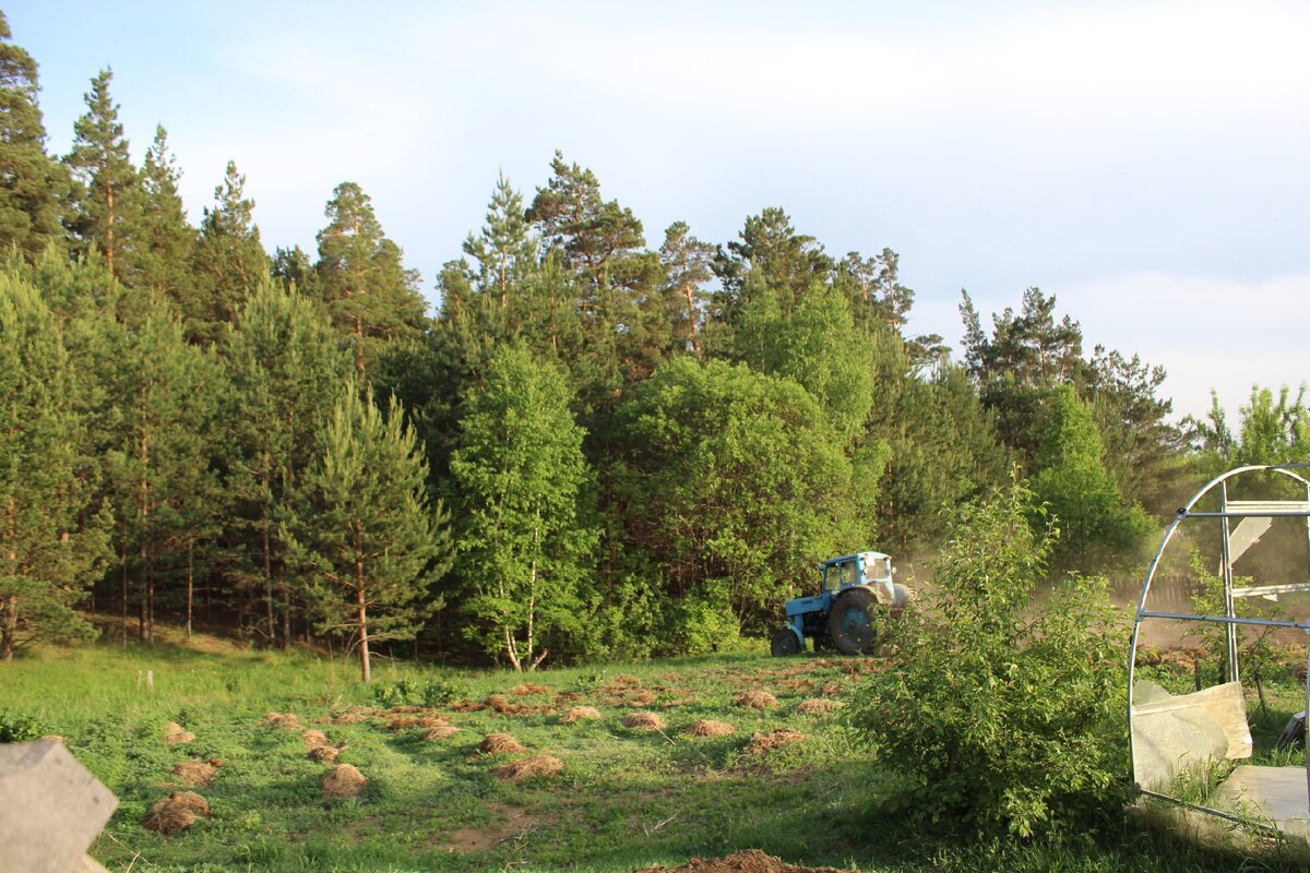 Трактор пашет огород.