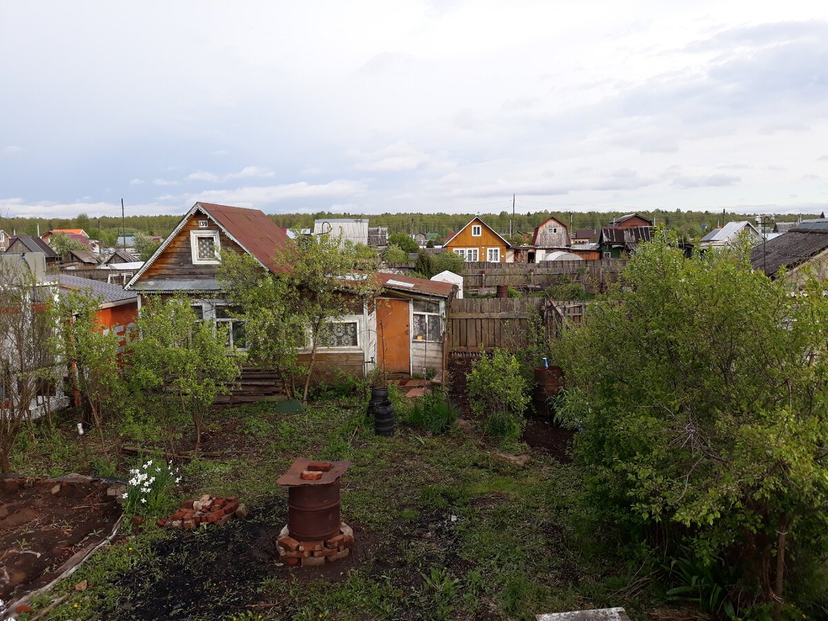 2 сотки буду приводить в порядок)