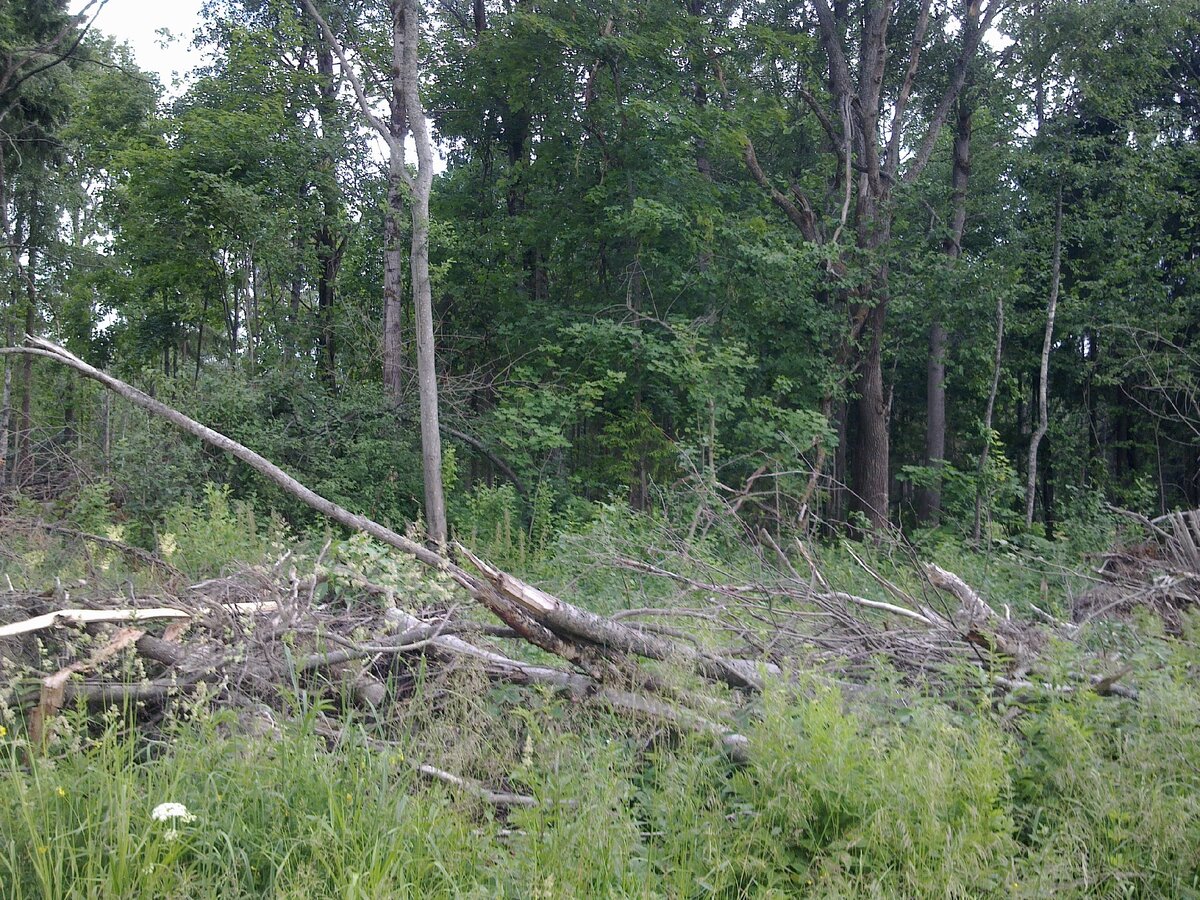 Вот так всё выглядело 