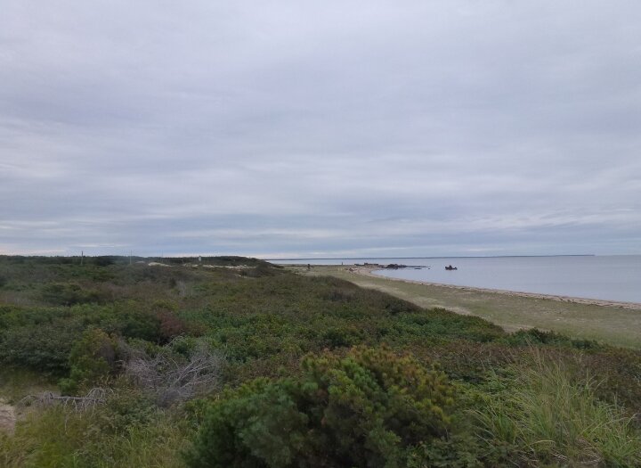 Прекрасный остров в любую погоду.

Здравствуйте, дорогие читатели!

Продолжая тему Дальнего востока…

Сегодня из поселка Лазарева перемещаемся в поселок Погуби. Это 13 км через пролив.

В недавнем прошлом большой поселок с сельсоветом, магазином, детским садом и школой, с совхозом рыболовецким. А ныне заброшенная деревня. Несколько десятков жителей и метеорологи, которые приезжают туда на вахту, меняясь каждые пол года.

Но природа там красивая и очень интересная. Казалось бы 20 км, а попадаешь как будто в другой мир. Тоже тайга другая. Растения другие. Первое ощущение, чтобы в нереальном мире. Ощущаешь себя великаном. Деревья такие же. Но размером меньше, как будто карликовые. А лопухи выше человеческого роста. Размер листьев такой, что в дождь под ними можно укрыться, как под зонтиком.

Стоит отойти от берега поближе к лесу и под ногами видишь много бурундуков. Видишь следы зверей и понимаешь, что лес живой! Небольшие речки (попали туда в период нереста рыбы) забиты рыбой. Красная рыба топится так, что кипит вода в устье реки. Бери — не хочу!

Пройдя далее в лес, видишь густой лес. И какой ягоды там только нет. Двигаемся дальше на берег небольшого лесного озера. На противоположном берегу видим медведя, который посмотрев и понюхав воздух продолжает заниматься делами, не пугаясь.

В этом озере громадное количество рыбы и раков. Небольшие и вкусные раки выползают на берег. Для того чтобы попробовать дальневосточный деликатес, прилагать много усилий не пришлось.

Край богатейший. Женьшень, лимонник растут в таких количествах, что представить себе трудно. А красота не перестает поражать даже когда находишься там несколько месяцев подряд.

И вот это богатство не используется или используется варварски и бездумно. Наверное все-таки господам правителям стоит над этим задуматься. Ведь при хорошей организации дела природа останется целой и ресурсы будут приносить большой доход. Люди будут заниматься делом и получать достойные зарплаты. Бюджет получит миллиарды прибыли, восстановится и тайга на материке и возродятся поселки на Сахалине.

Если понравился рассказ, жду комментарии и лайки. А продолжение следует. Камчатка
