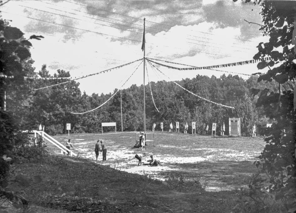 Фото из архивов. Теперь этой поляны нет.