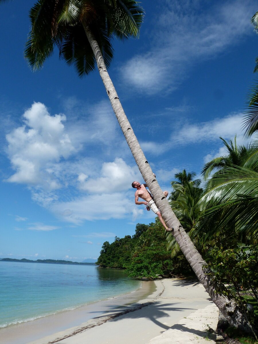 Тренируюсь перед DWS на пальмах.