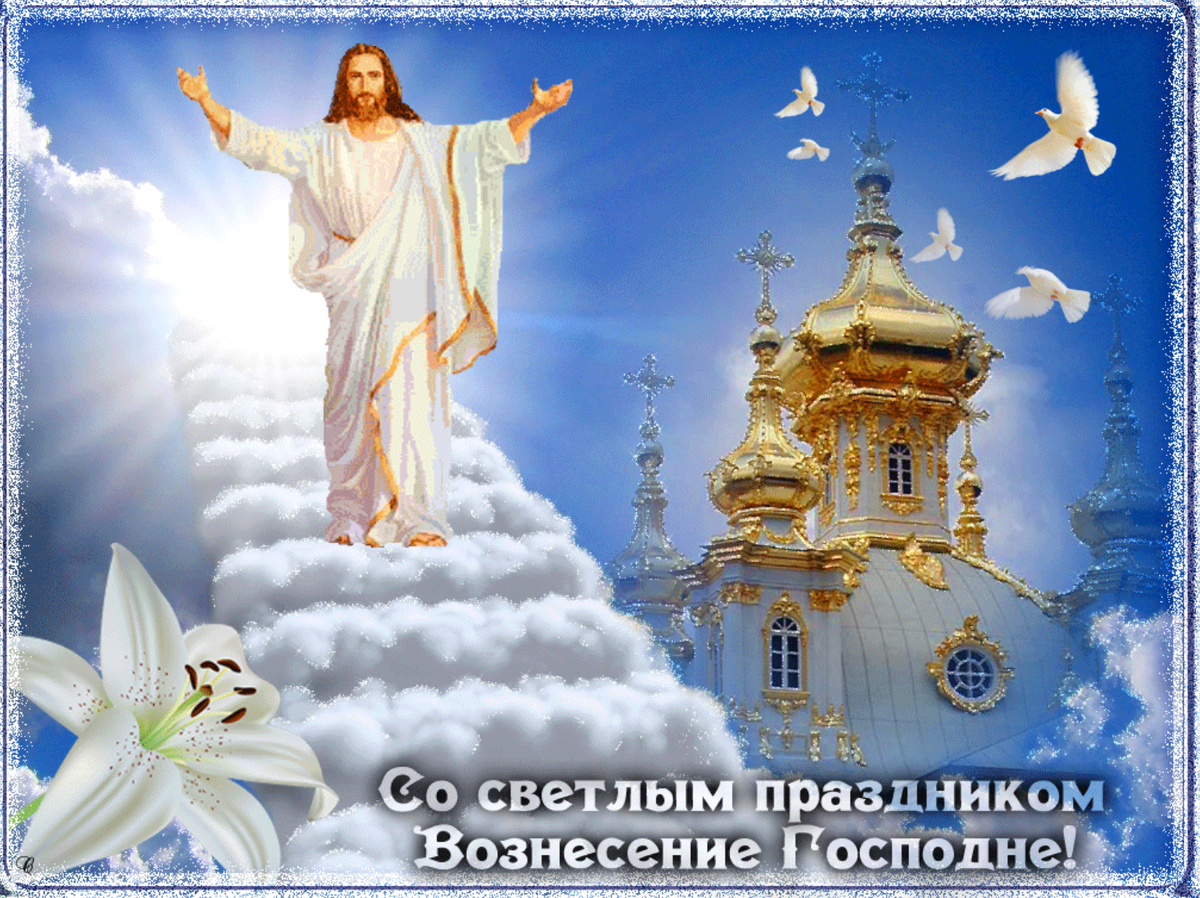 Источник: Яндекс