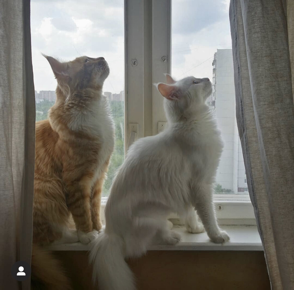 Фото @alx_shandin