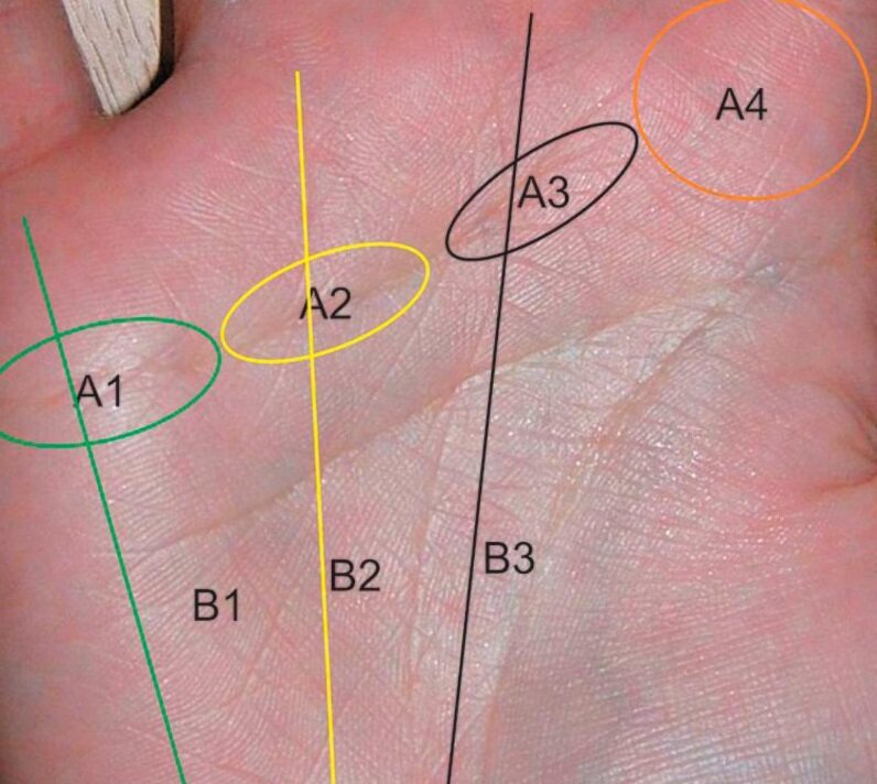 Хиромантия линии на руке расшифровка с фото