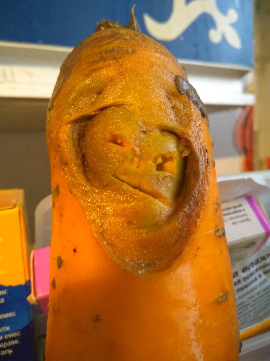 "Привет, вот и я"